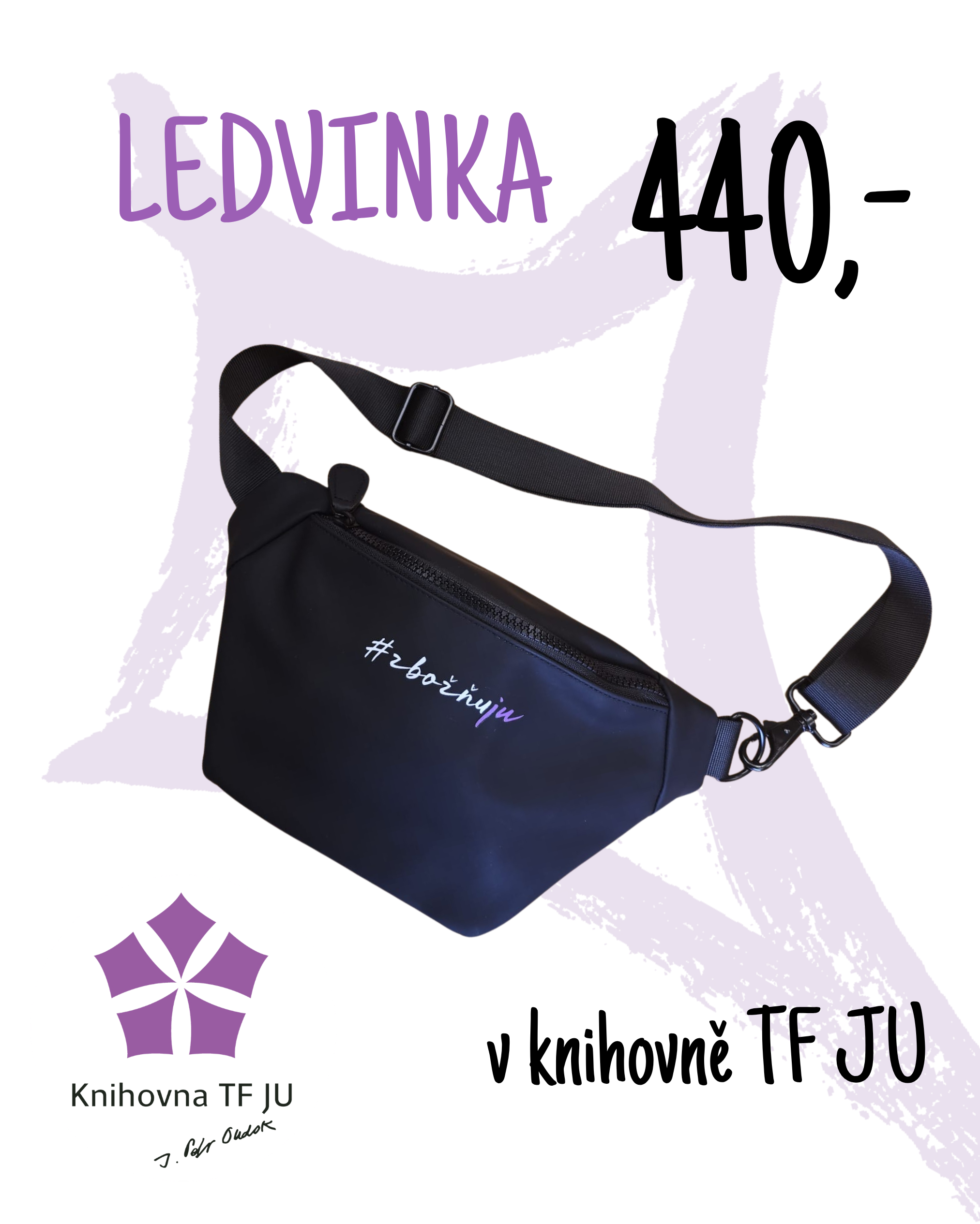 Ledvinka