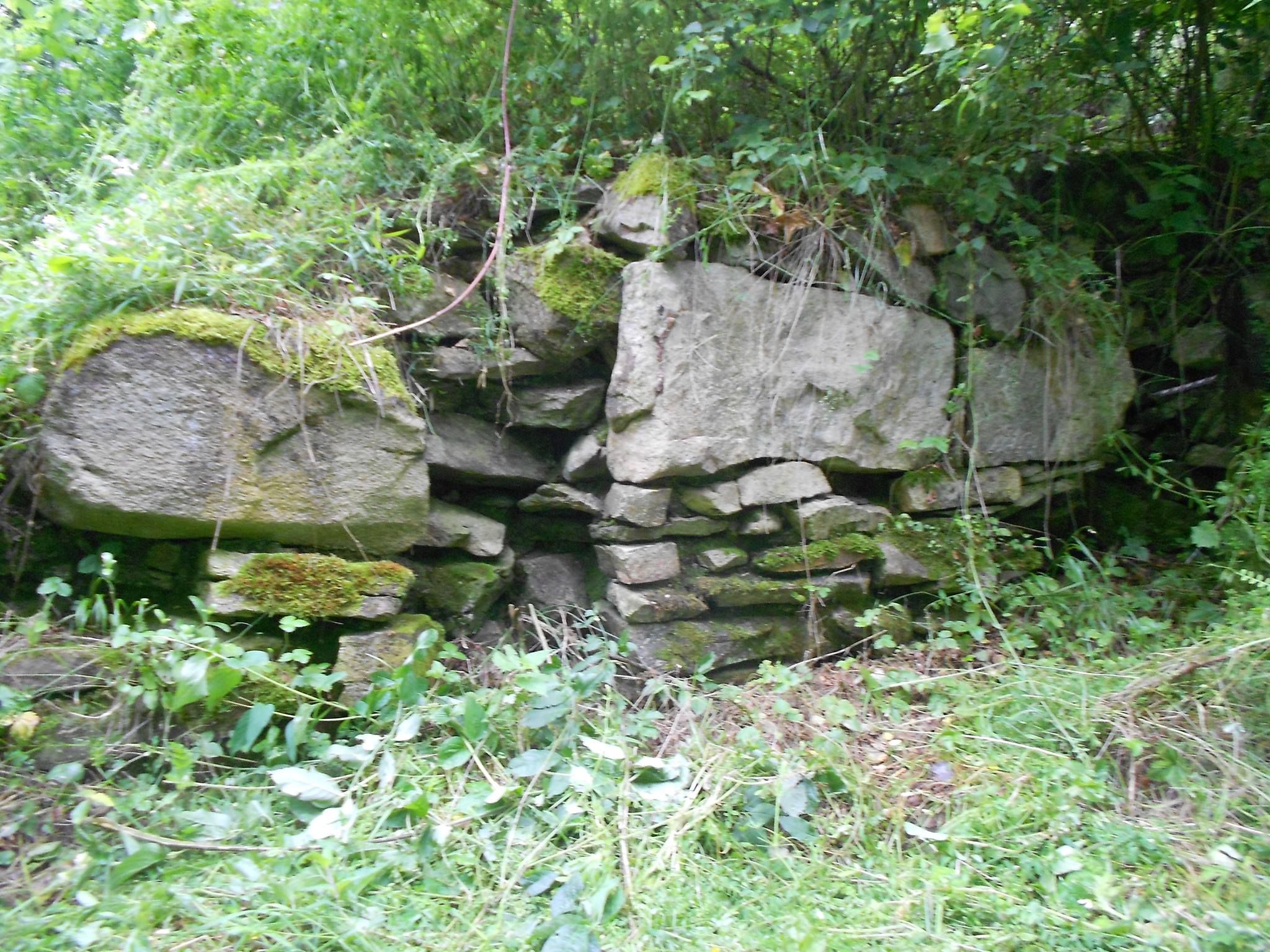 Keltské oppidum Třísov.jpg